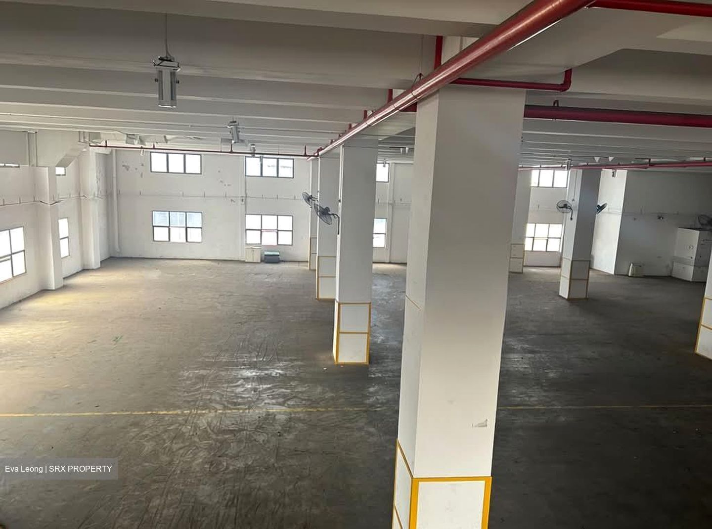 Pioneer Sector 1 (D22), Warehouse #563204291
